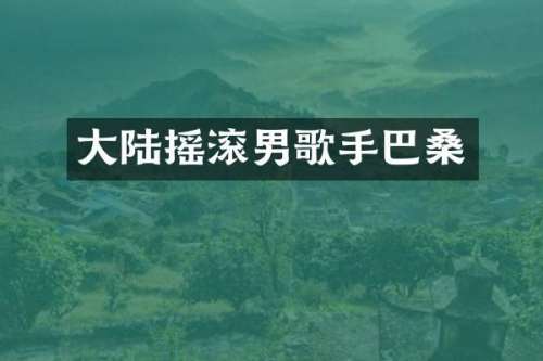 大陆摇滚男歌手巴桑