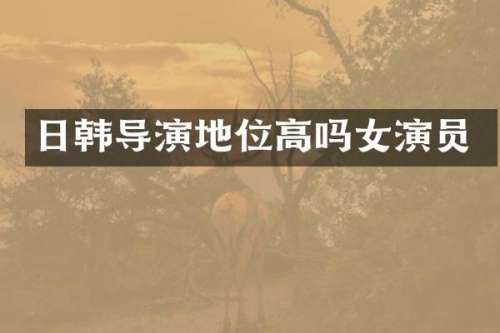 日韩导演地位高吗女演员