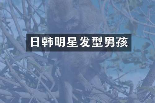 日韩明星发型男孩