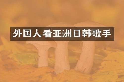 外国人看亚洲日韩歌手