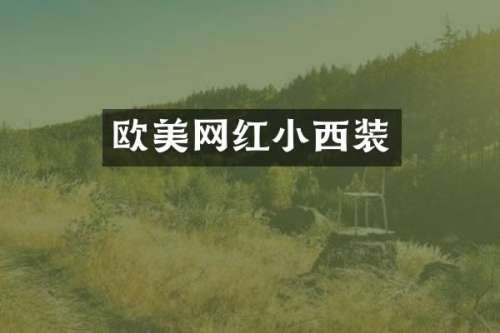 欧美网红小西装