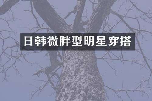 日韩微胖型明星穿搭