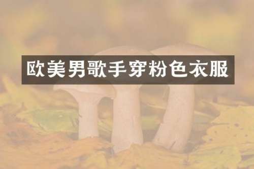 欧美男歌手穿粉色衣服
