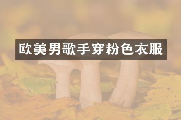 欧美男歌手穿粉色衣服