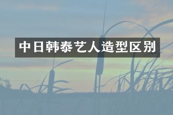 中日韩泰艺人造型区别