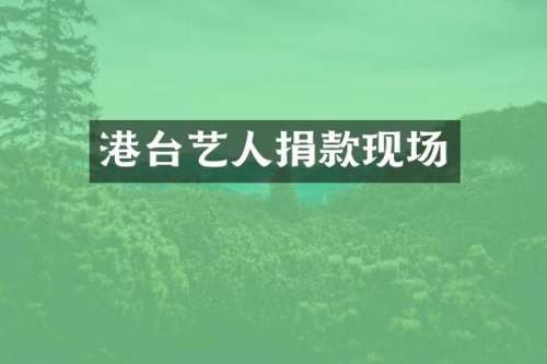 港台艺人捐款现场