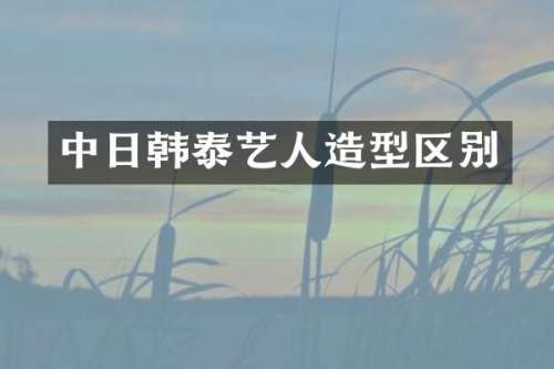 中日韩泰艺人造型区别