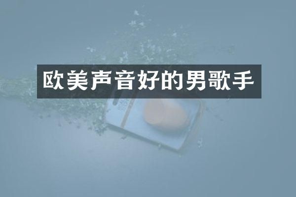 欧美声音好的男歌手