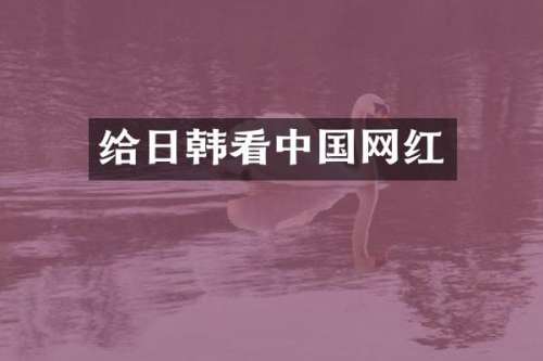 给日韩看中国网红