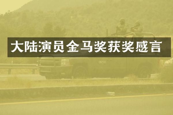 大陆演员金马奖感言