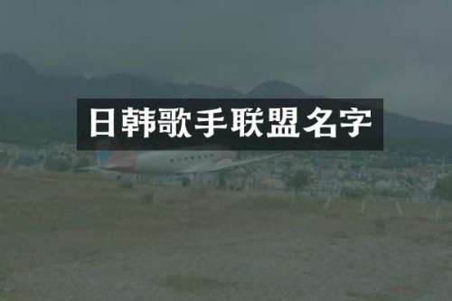 日韩歌手联盟名字