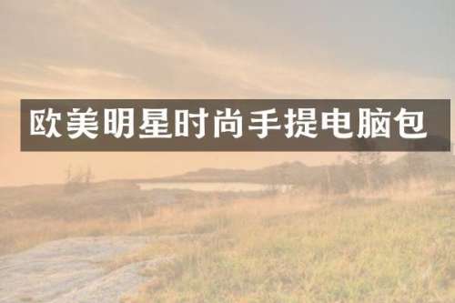 欧美明星时尚手提电脑包