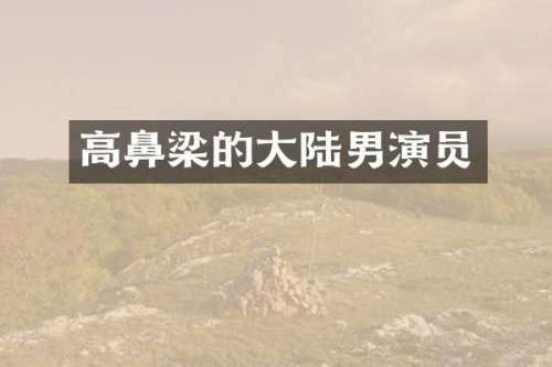 高鼻梁的大陆男演员
