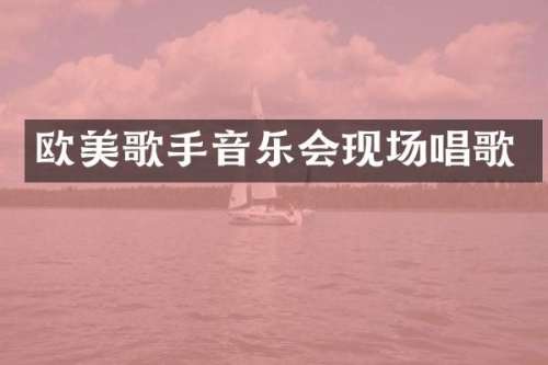 欧美歌手音乐会现场唱歌