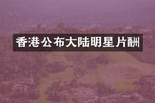 香港公布大陆明星片酬