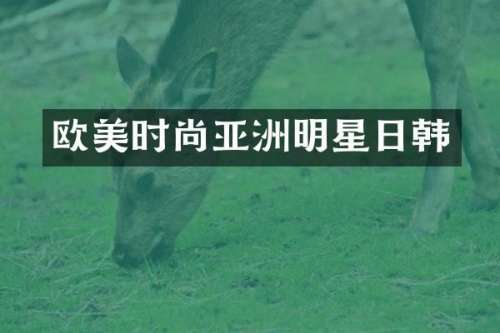 欧美时尚亚洲明星日韩