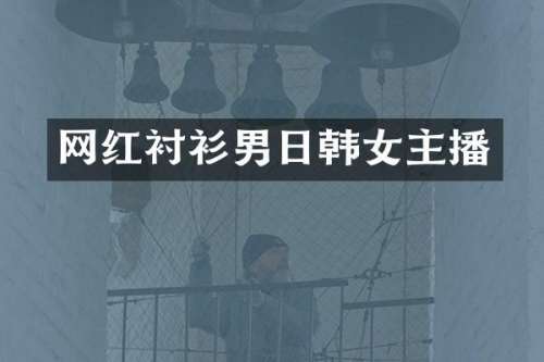 网红衬衫男日韩女主播