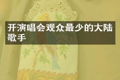 开演唱会观众最少的大陆歌手