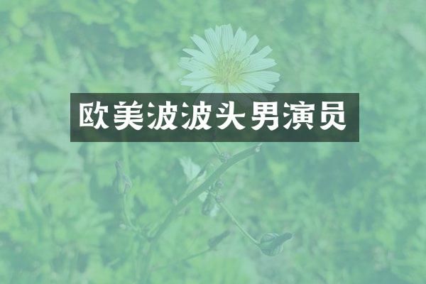 欧美波波头男演员