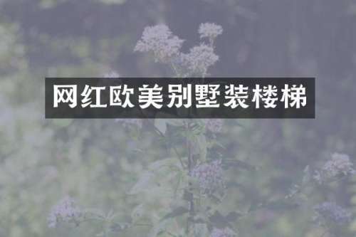 网红欧美别墅装楼梯