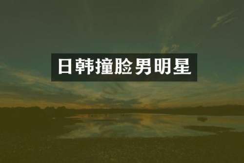 日韩撞脸男明星