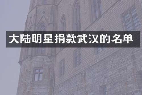 大陆明星捐款武汉的名单