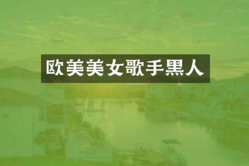 欧美歌手黑人