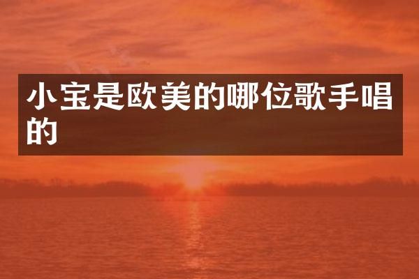 小宝是欧美的哪位歌手唱的