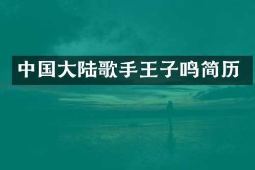 中国大陆歌手王子鸣简历