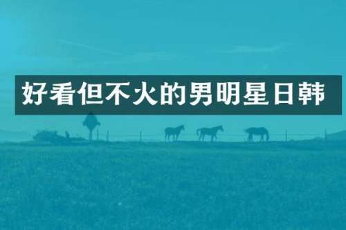 好看但不火的男明星日韩