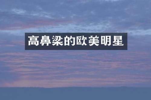 高鼻梁的欧美明星