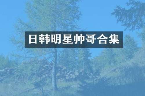 日韩明星帅哥
