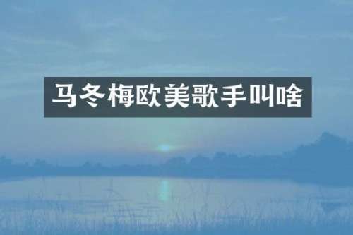 马冬梅欧美歌手叫啥