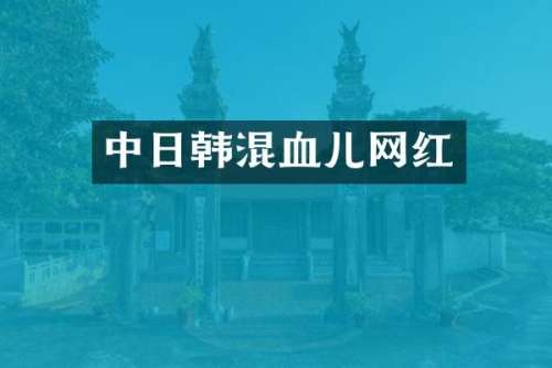 中日韩混血儿网红