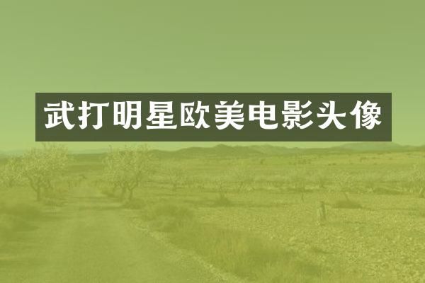 武打明星欧美电影头像