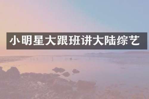 小明星大跟班讲大陆综艺