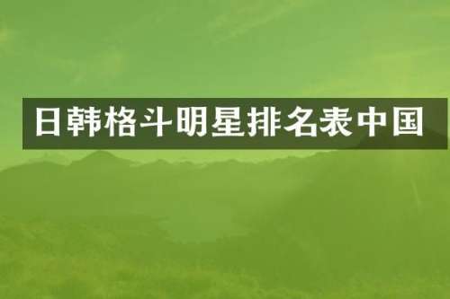 日韩格斗明星排名表中国