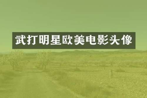 武打明星欧美电影头像