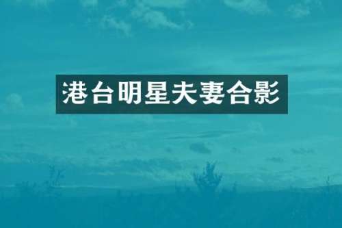港台明星夫妻合影