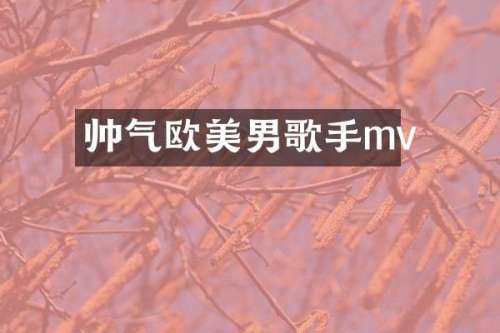 帅气欧美男歌手mv