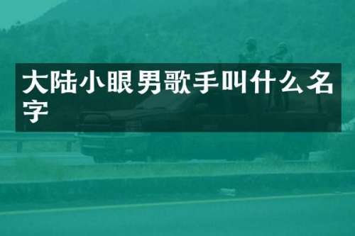 大陆小眼男歌手叫什么名字