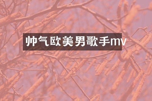帅气欧美男歌手mv