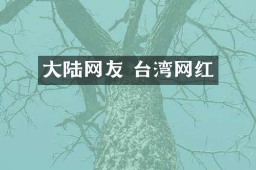 大陆网友 台湾网红