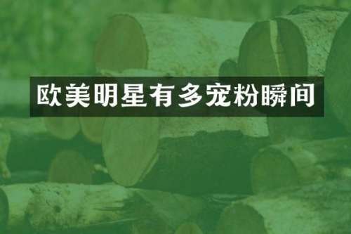 欧美明星有多宠粉瞬间