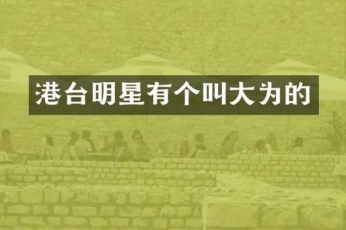 港台明星有个叫大为的