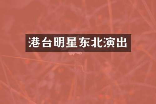 港台明星东北演出