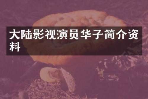 大陆影视演员华子简介资料