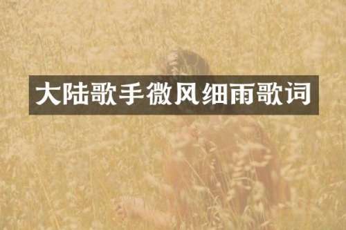 大陆歌手微风细雨歌词