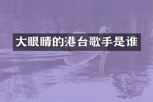 大眼睛的港台歌手是谁