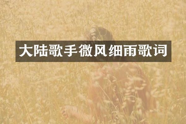 大陆歌手微风细雨歌词